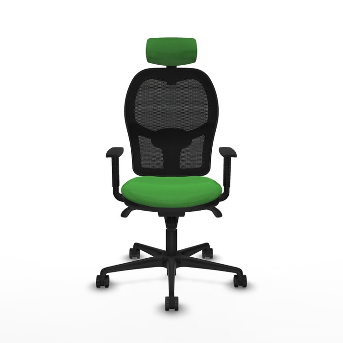 Chaise de Bureau Piqueras y Crespo 1D036N2 Vert