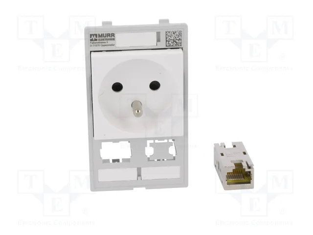 MURRELEKTRONIK Prise simple MODLINK MSDD, RJ45 et fourchette 4mm MURRELEKTRONIK Prise simple MODLINK MSDD, RJ45 et fourchette 4mm