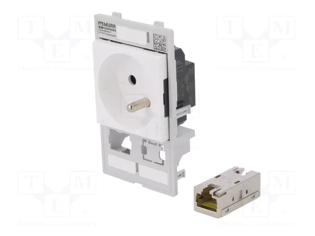 MURRELEKTRONIK Prise simple MODLINK MSDD, RJ45 et fourchette 4mm MURRELEKTRONIK Prise simple MODLINK MSDD, RJ45 et fourchette 4mm