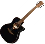 LAG Tramontane 118 A/E Auditorium Cutaway Negra