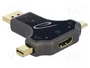 DELOCK Adaptateur USB C vers HDMI 4K UHD 2160p