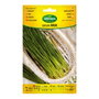 Agreen Sachet de graines de cibollino annuelle