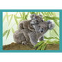 CLEMENTONI Puzzle Noli Baby Cuddles - 12, 16, 20 et 24 pièces - Taille : 18,9 x 14,2 cm