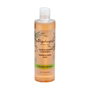 Algologie Champú de Cebolla y Algas 300ml