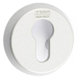 TESA E300L26Cm - Escutcheon ouvert pour serrure de sécurité, 26 cm, finition chrome mat