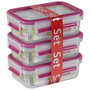 Emsa Food Clip&Close 515582 Pack de 3 transparent/rosa 0,55l