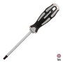 WOLFPACK LINEA PROFESIONAL Tournevis Torx Inviolable T40 en acier S2