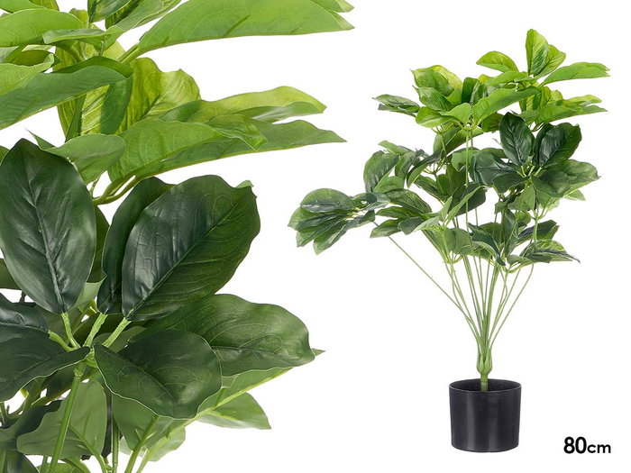 Ibergarden Pot Plante Feuilles Ovalées 80 cm 60x60 cm Plastique Vert Noir (Set de 6) Ibergarden Pot Plante Feuilles Ovalées 80 cm 60x60 cm Plastique Vert Noir (Set de 6)