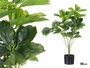 Ibergarden Pot Plante Feuilles Ovalées 80 cm 60x60 cm Plastique Vert Noir (Set de 6)
