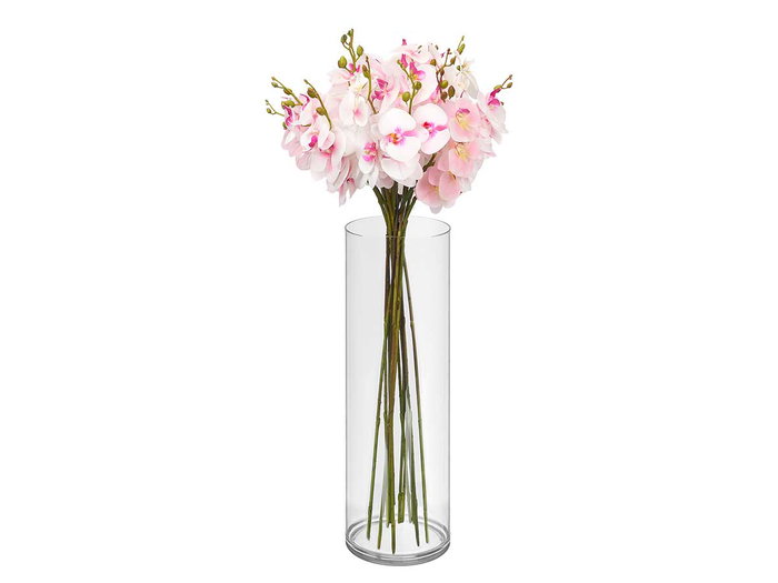 Giftdecor Jarron Aparenza Cilindrico Acrilico Transparente 12 x 40 cm (Set de 12)