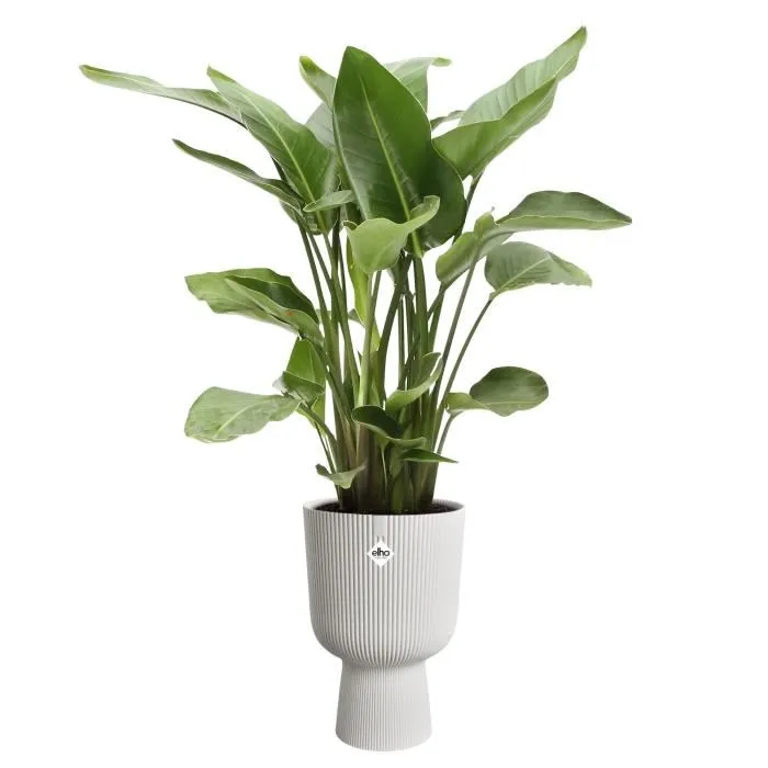 Elho Pot de fleurs Vibes Fold Coupe Blanc - Design intérieur rond - Plastique 100% recyclé - Ø 29.5 x H 45 cm - Facile d'entretien et durable