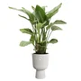 Elho Pot de fleurs Vibes Fold Coupe Blanc - Design intérieur rond - Plastique 100% recyclé - Ø 29.5 x H 45 cm - Facile d'entretien et durable