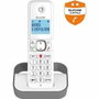Alcatel F860 solo Gris