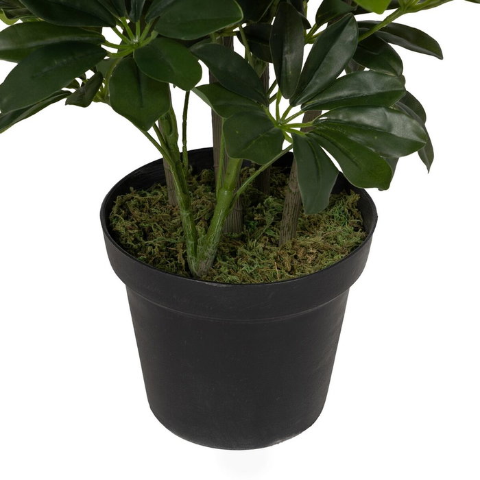 BigBuy Home Plante décorative Bambou 45 x 45 x 145 cm BigBuy Home Plante décorative Bambou 45 x 45 x 145 cm