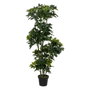 BigBuy Home Plante décorative Bambou 45 x 45 x 145 cm