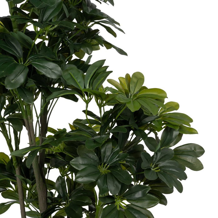 BigBuy Home Plante décorative Bambou 45 x 45 x 145 cm BigBuy Home Plante décorative Bambou 45 x 45 x 145 cm
