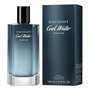 Parfum Homme Davidoff 99350046270 EDP 100 ml