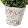 BigBuy Home Plante décorative Blanc et Vert 17 x 17 x 27 cm