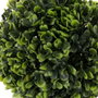 BigBuy Home Plante décorative Blanc et Vert 17 x 17 x 27 cm