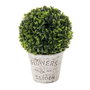 BigBuy Home Plante décorative Blanc et Vert 17 x 17 x 27 cm