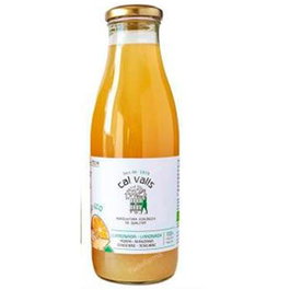 CAL VALLS Limonade Pomme-Gingembre sans sucre ajouté