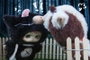 Niinoo Peluche surprise Meow Moo Blind Bos 14x20x9 cm