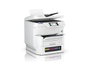 Imprimante Multifonction Epson EM-C8100RDWF