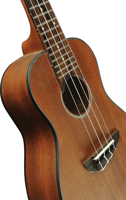 EKO Ukelele Duo Concerto