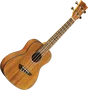 EKO Ukelele Duo Concerto