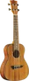EKO Ukelele Duo Concerto