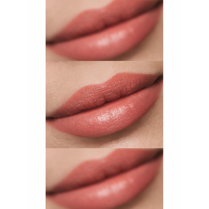 Estée Lauder Rouge à Lèvres Pure Color Hi-Lustre Lèvres d'Ange