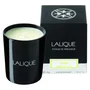 Lalique Bougie parfumée Yuzu Shikoku Japon 190 g