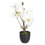 BigBuy Home Plante décorative Magnolia 22 x 22 x 38 cm