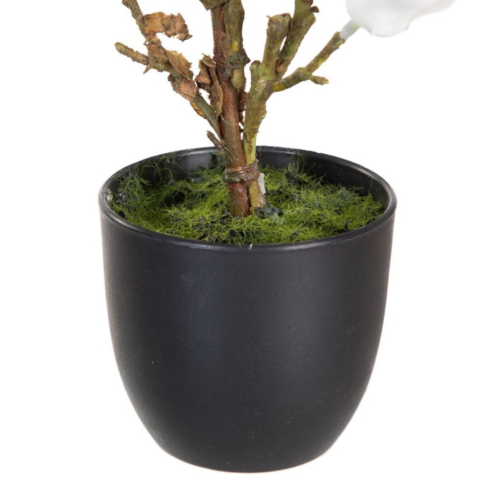 BigBuy Home Plante décorative Magnolia 22 x 22 x 38 cm BigBuy Home Plante décorative Magnolia 22 x 22 x 38 cm