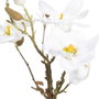 BigBuy Home Plante décorative Magnolia 22 x 22 x 38 cm