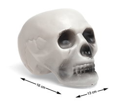 Atosa Crâne Décoratif Gris 16x13 cm pour Halloween