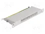 DELOCK Panneau de brassage Cat 6a, 8 ports RJ45, Rack 10 pouces