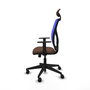 Piqueras y Crespo Chaise de Bureau Motilla Bleu et Brun foncé