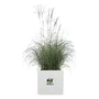 ELHO Pot de fleurs Vivo Next Square 40 - Diametre 39 x Hauteur 38 cm - Interieur, Exterieur - 100% plastique recycle - Blanc