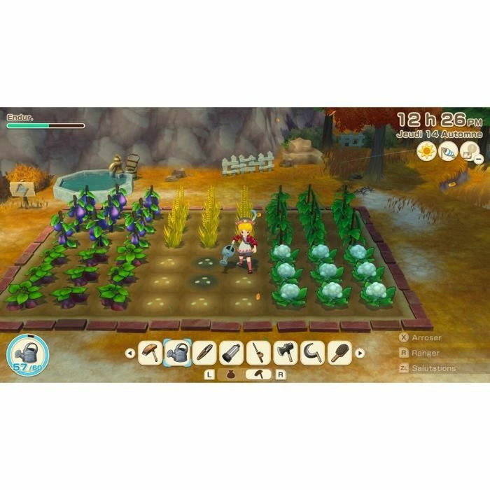 Just For Games Story of Seasons : Grand Bazaar - Édition limitée