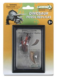 COLLECTA Réplique de la main et de la griffe de T. rex