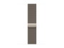 Apple Watch Series 11 GPS + Cellular 46 mm Titanium Natural with Milanese Loop M/L