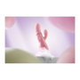 Vibration de Stimulation Double Svakom Rose Pêche