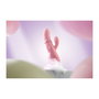 Vibration de Stimulation Double Svakom Rose Pêche