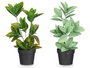 IBERGARDEN Lot de 12 Pots pour Plantes Brillant Assortiment de 4 Couleurs