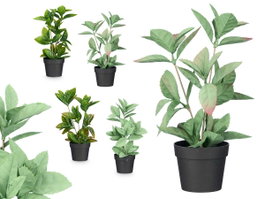 IBERGARDEN Lot de 12 Pots pour Plantes Brillant Assortiment de 4 Couleurs