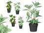 IBERGARDEN Lot de 12 Pots pour Plantes Brillant Assortiment de 4 Couleurs