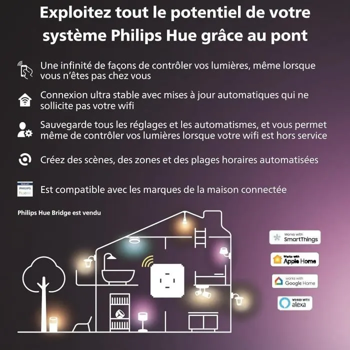 Philips Hue Secure - Piquet au sol pour installation de caméra de sécurité extérieure - Compatible avec la gamme Philips Hue Secure