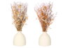 Giftdecor Florero Bola Surtis Couleurs 10,5x37x10,5 cm Céramique & Matière Végétale (Set de 12)