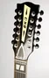 EKO Guitare Acoustique-Électrique Dreadnought Ranger 12 Cordes Vintage Natural